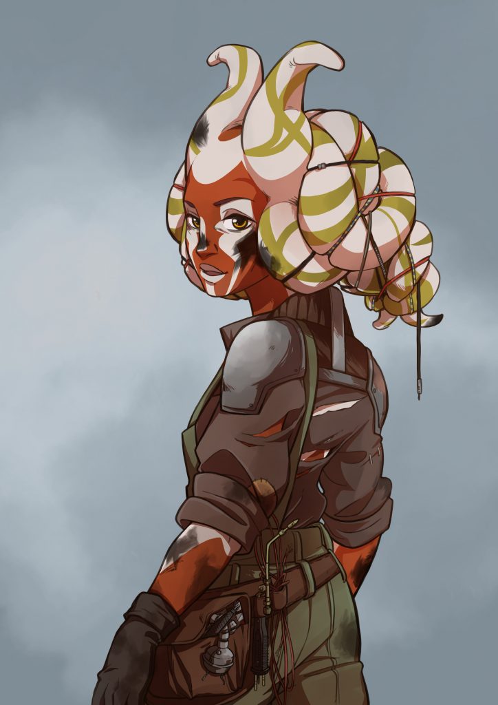 Commande particulier - 2019